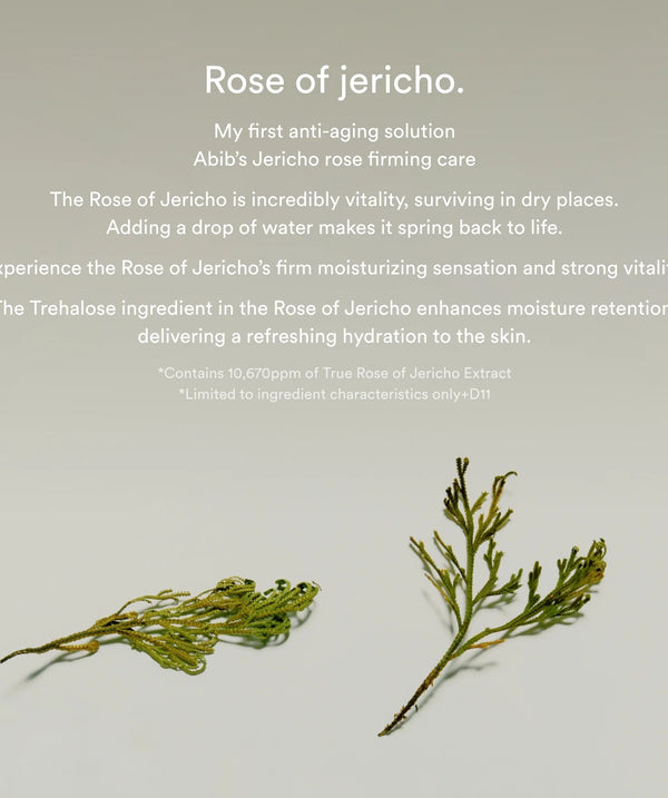 Abib - Jericho Rose Collagen Pad