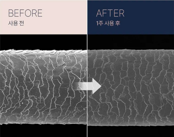 UNOVE Deep Damage Repair Shampoo